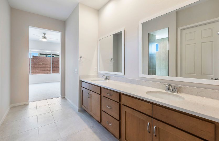 Owner's Bath