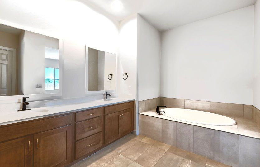 Owner's Bath
