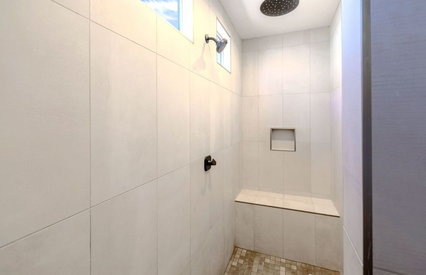 Owner's Bath