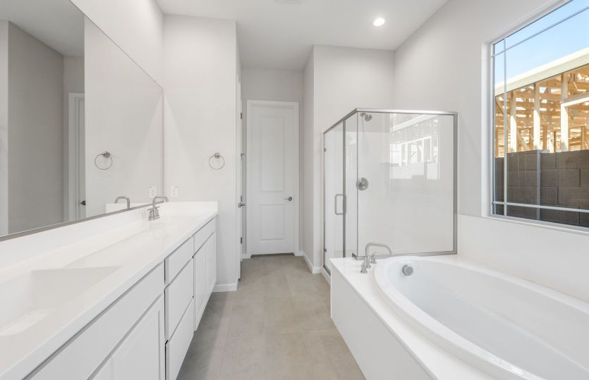Owner's Bath