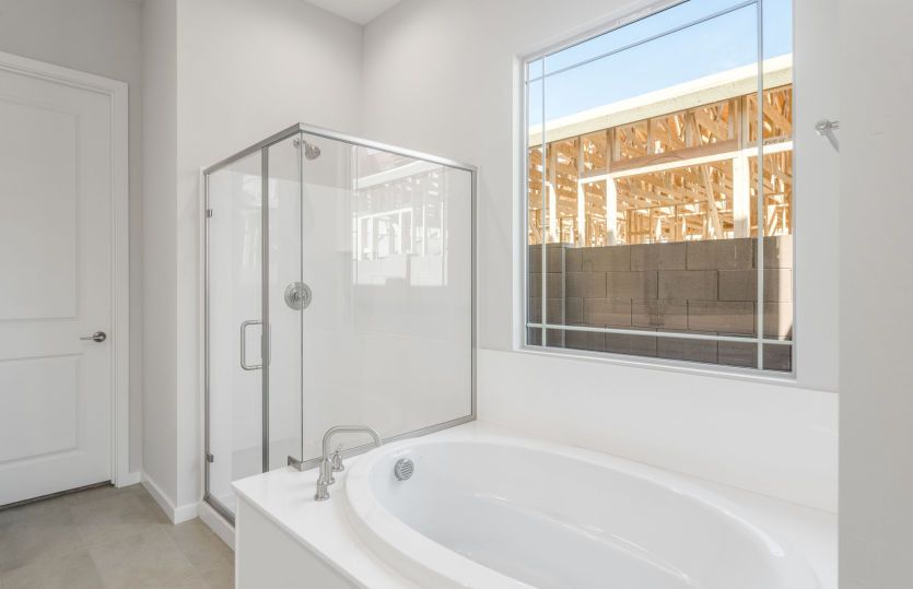Owner's Bath