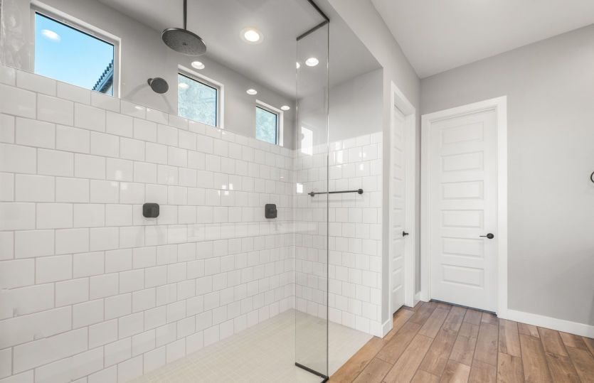 Owner's Bath