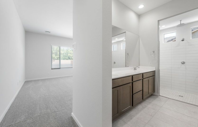 Owner's Bath