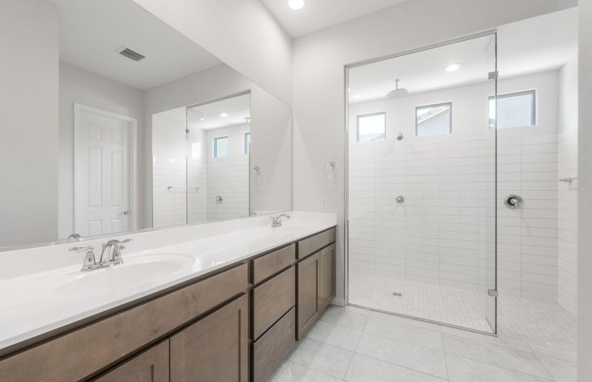 Owner's Bath