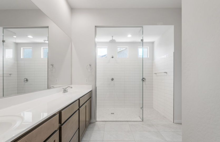 Owner's Bath