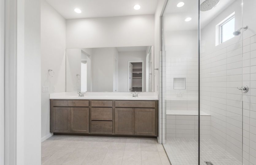 Owner's Bath