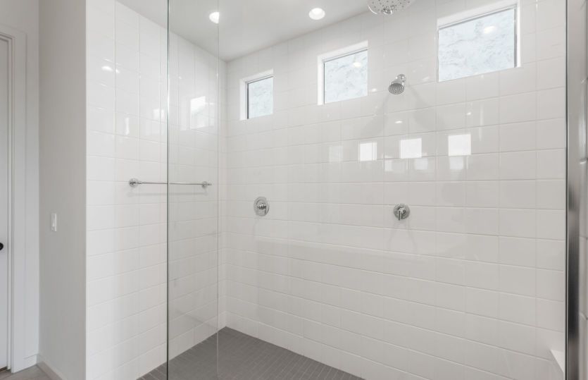 Owner's Bath