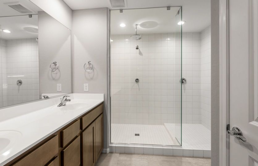 Owner's Bath