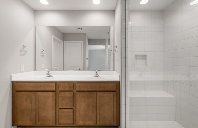 Owner's Bath