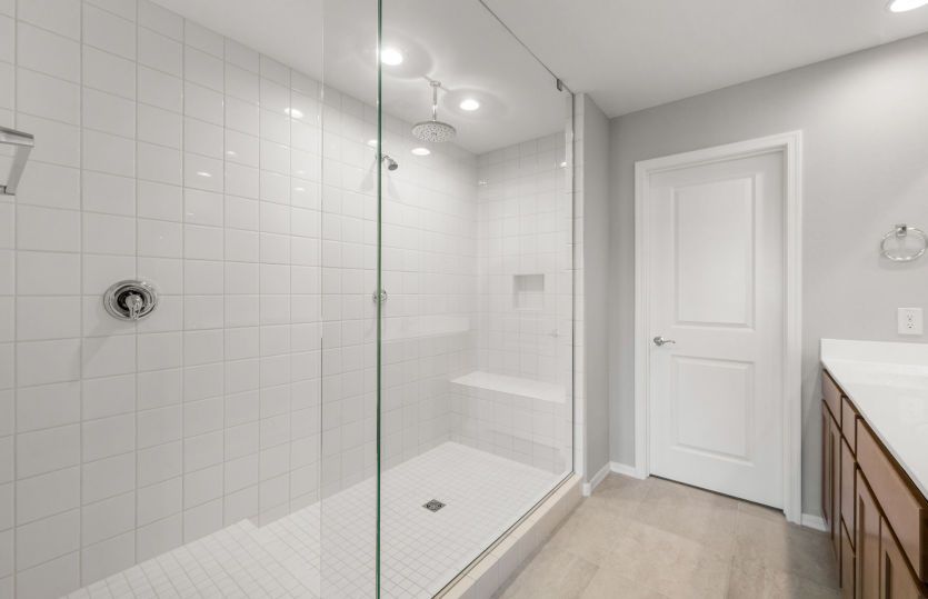 Owner's Bath