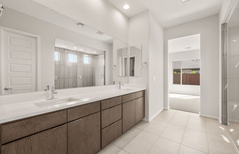 Owner's Bath