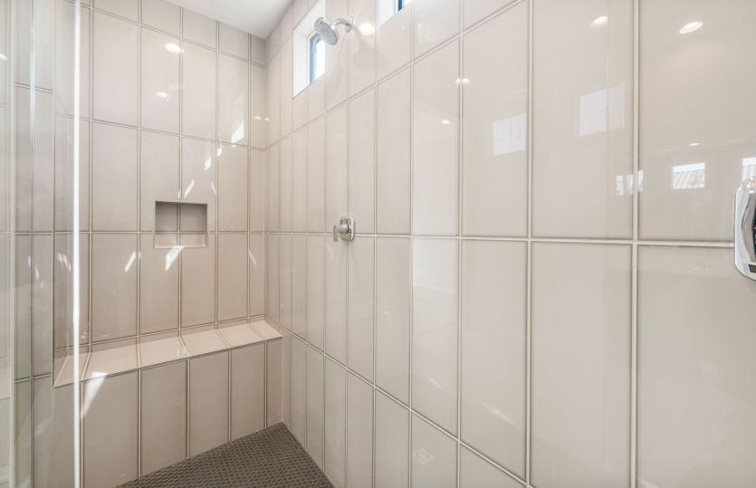 Owner's Bath