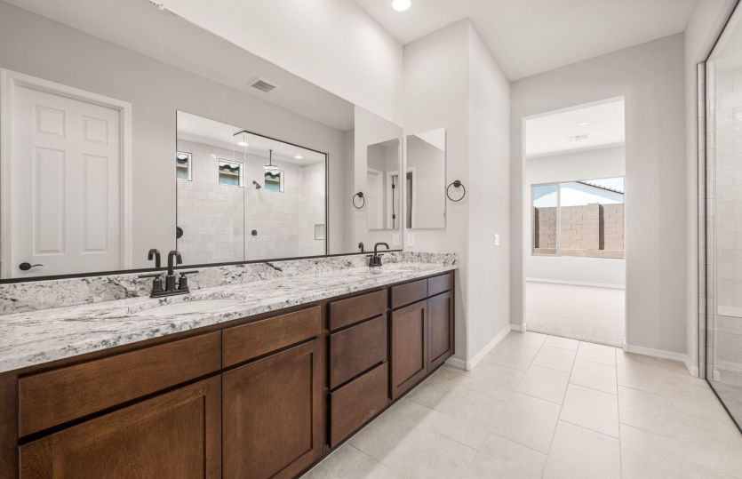 Owner's Bath