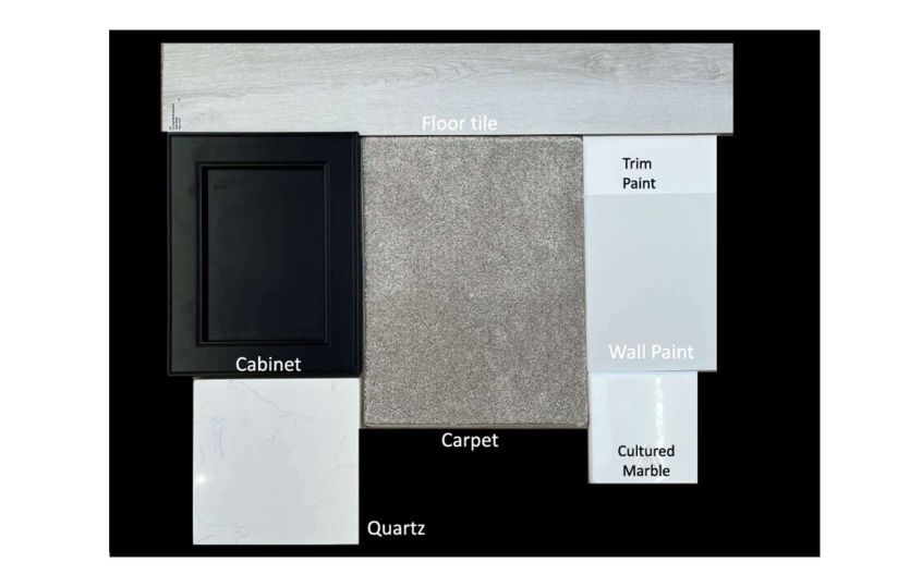 Interior Color Scheme