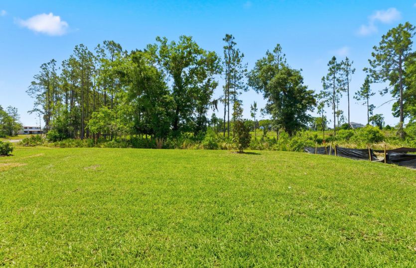 Nature View Homesite