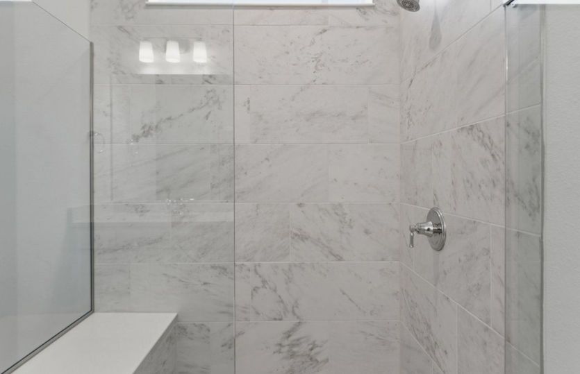Owner's Walk-In Shower