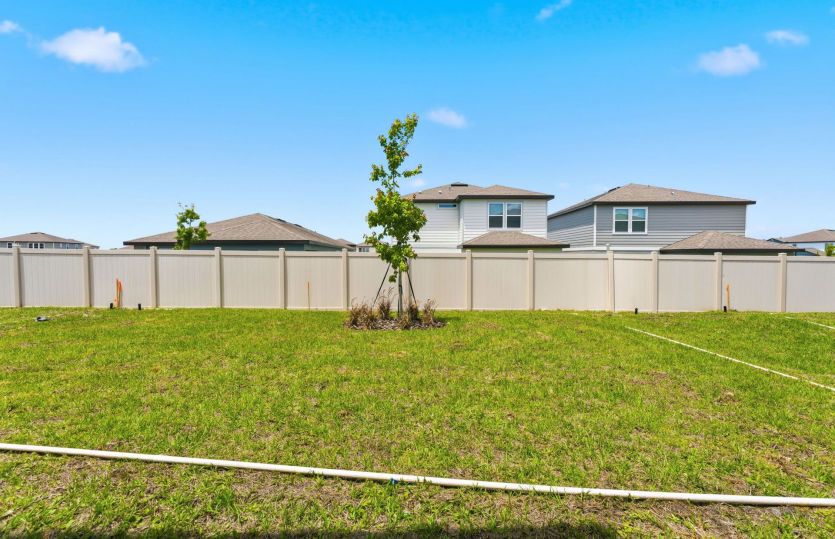 Spacious Backyard