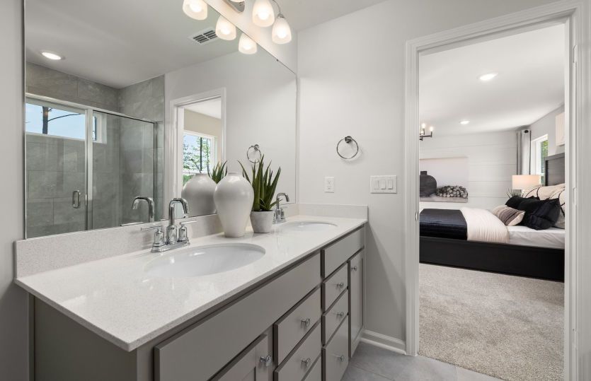 Owner's Bath