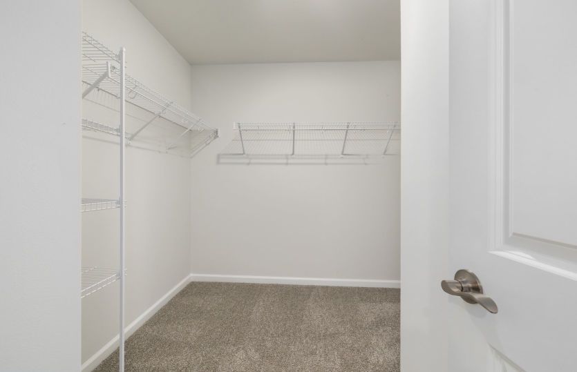 Owner's Walk-in Closet