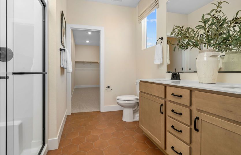 Owner's Bath