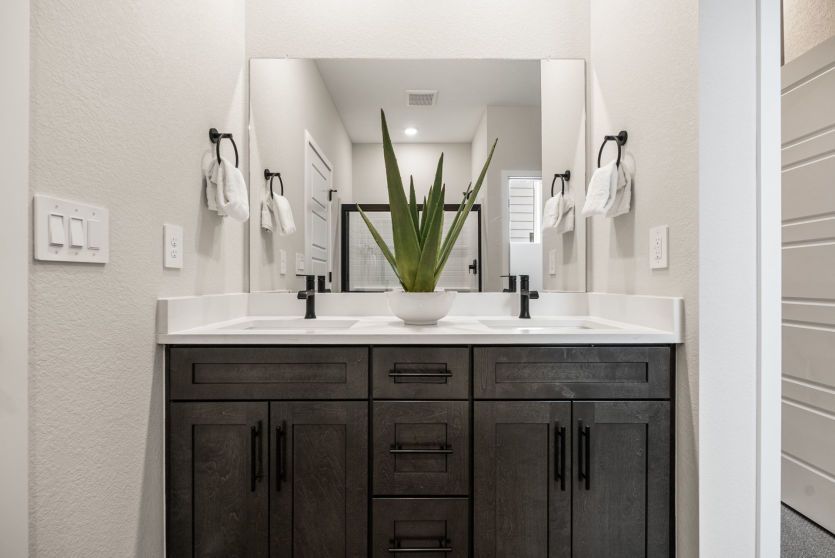 Owner's Bath