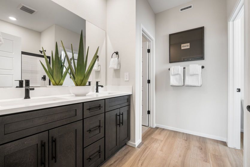 Owner's Bath
