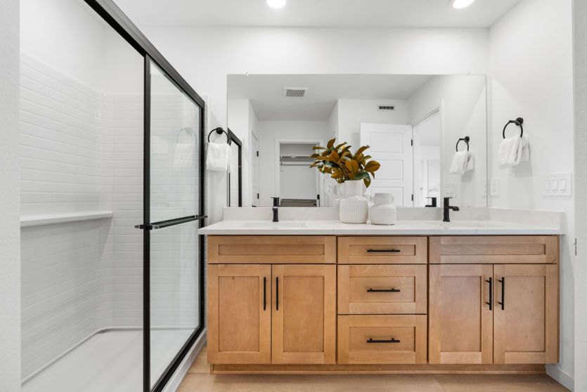 Owner's Bath