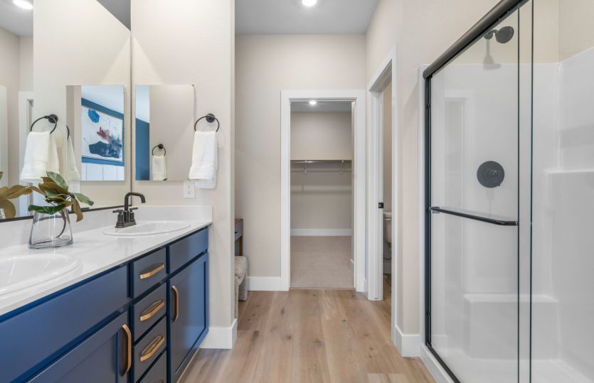 Owner's Bath