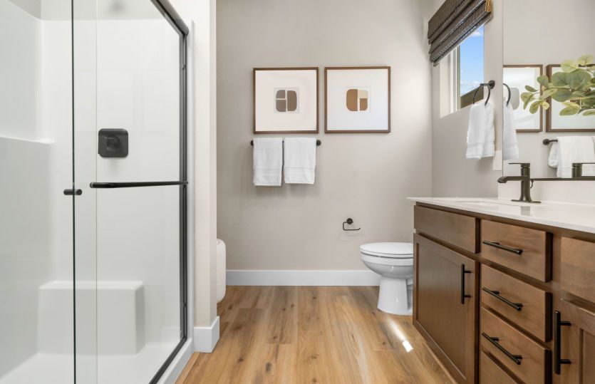 Owner's Bath