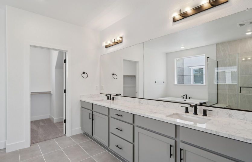 Owner's suite bathroom