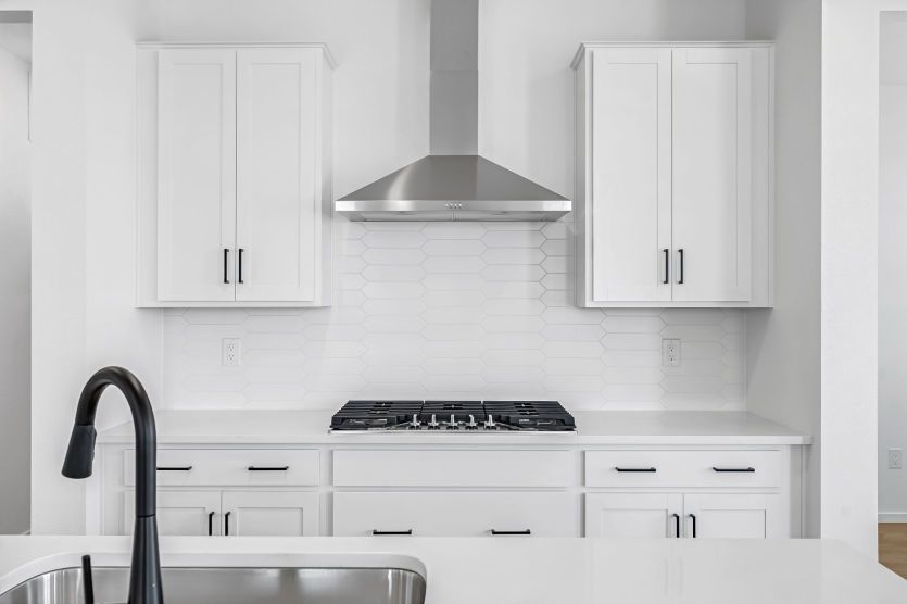 Built-in Stainless Steel Cooktop and Hood