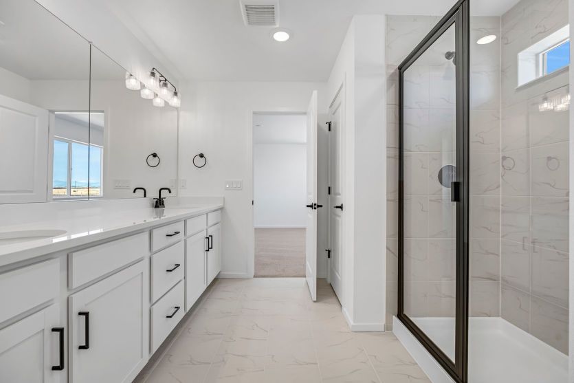 Owner's Bathroom