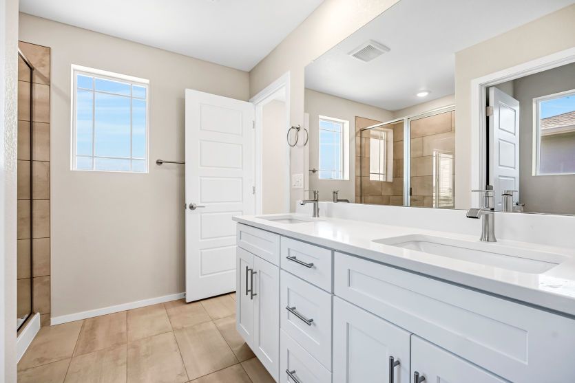 Owner's Bath