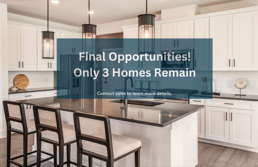 Final Opportunities