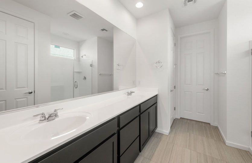 Owner's Bath