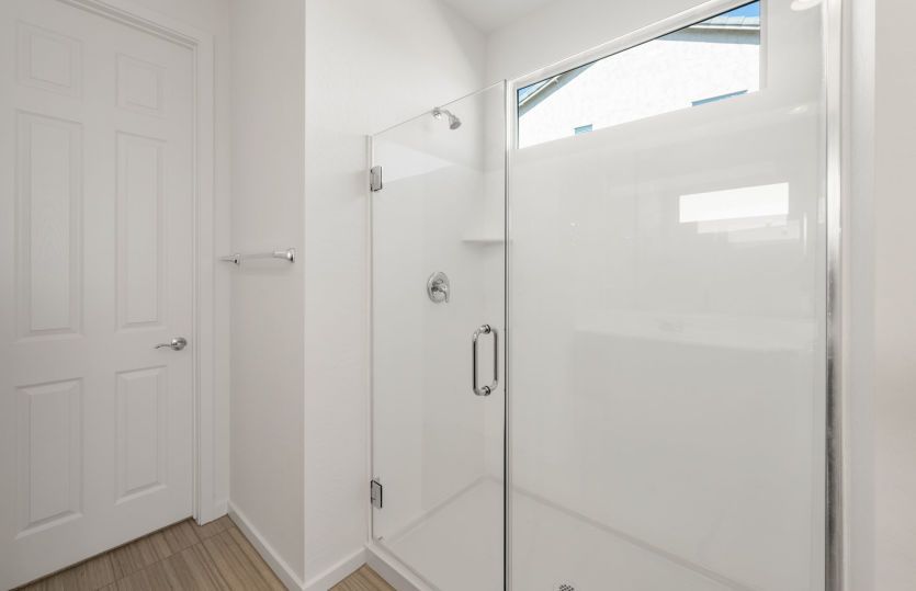 Owner's Bath