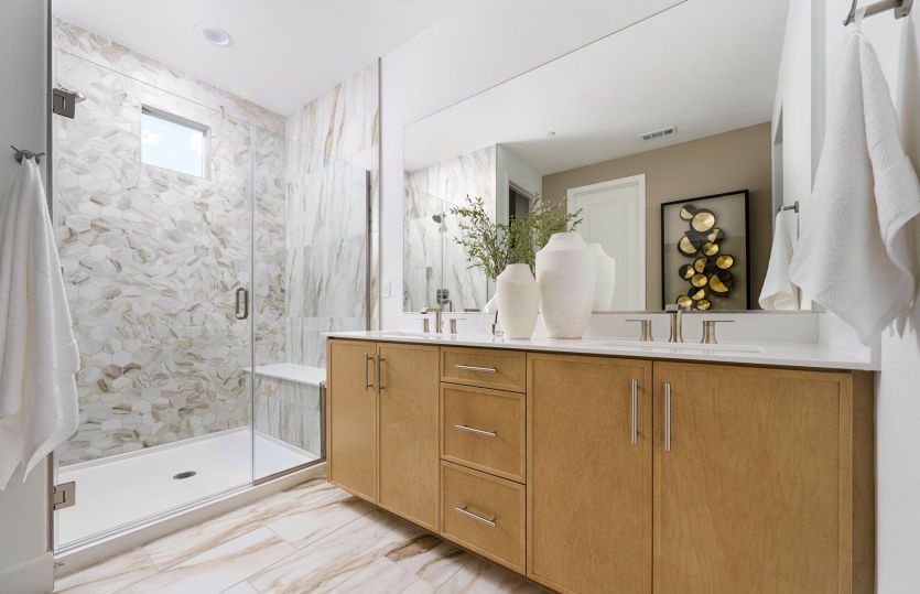 Owner's Bathroom