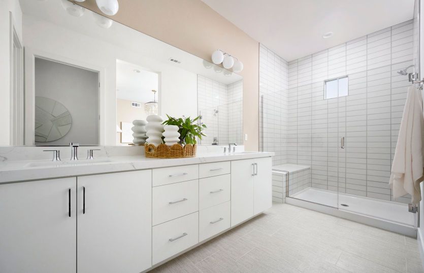 Owner's Bathroom
