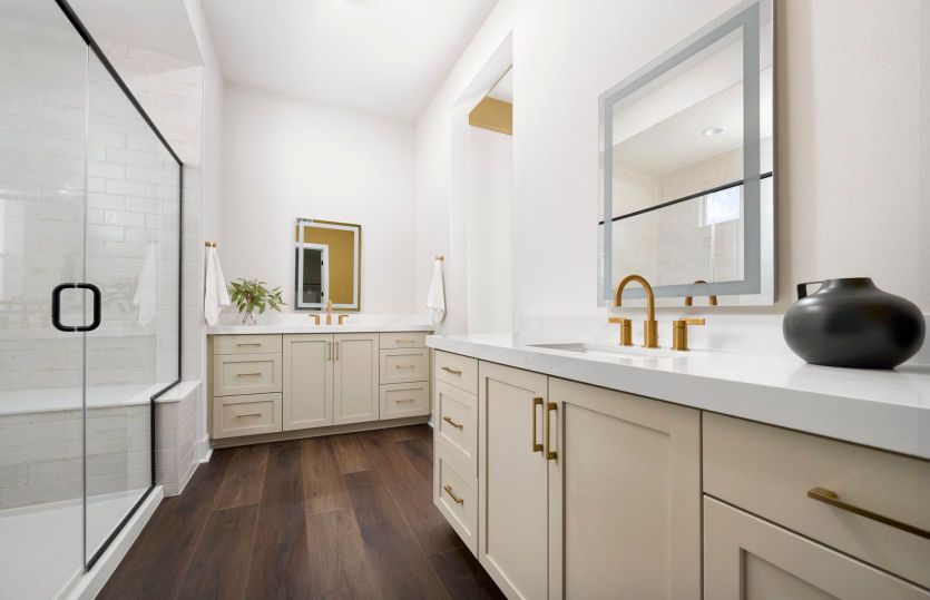 Owner's Bathroom