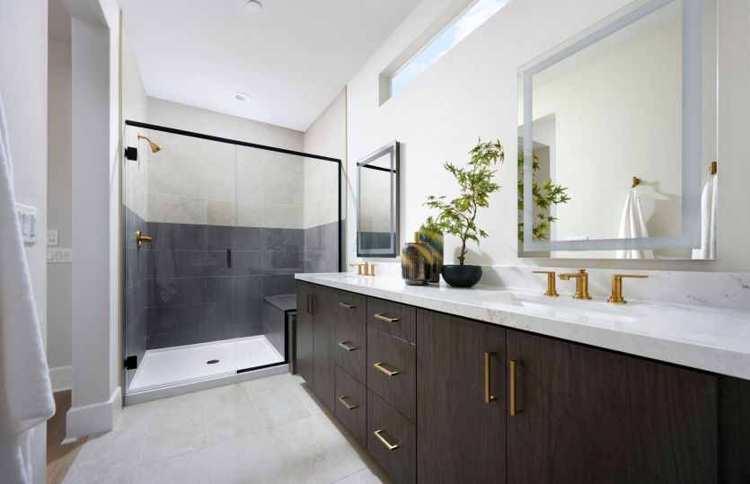 Owner's Bathroom