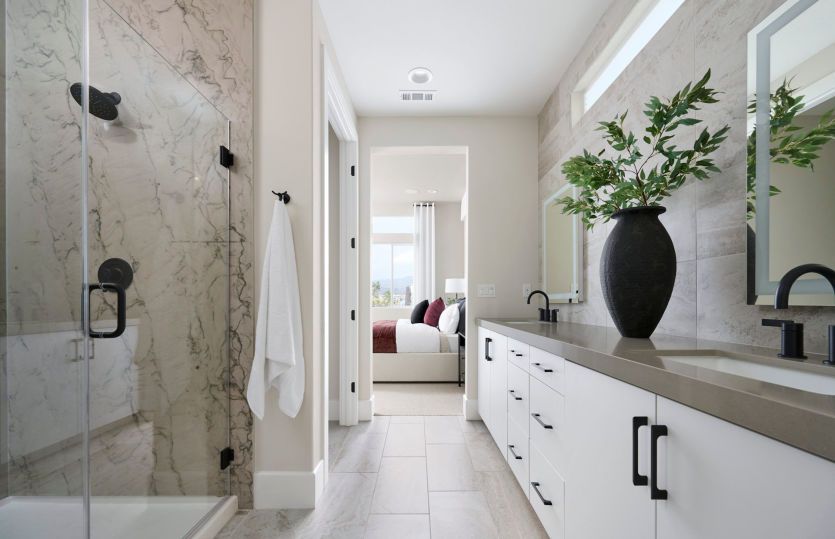 Owner's Bathroom