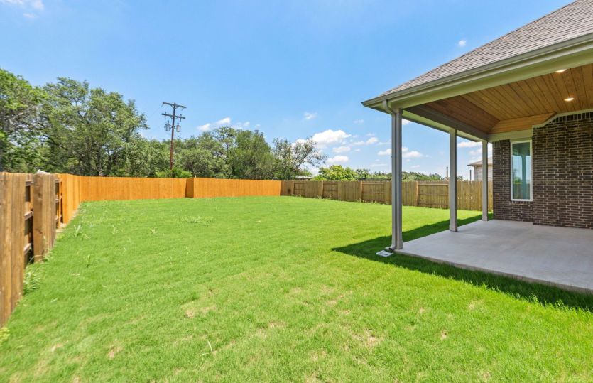 Backyard