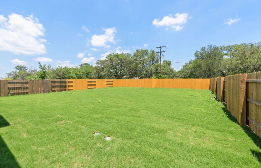 Backyard