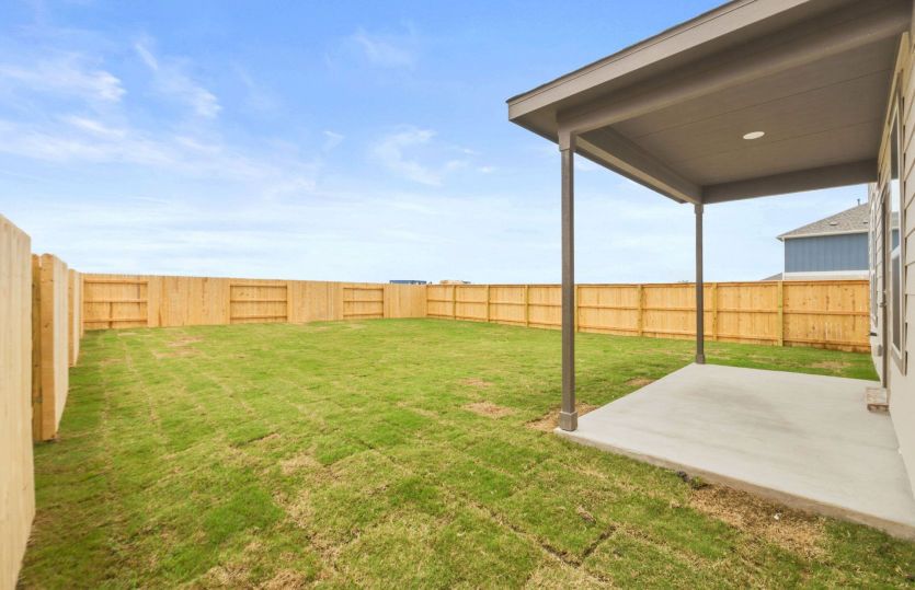 Backyard
