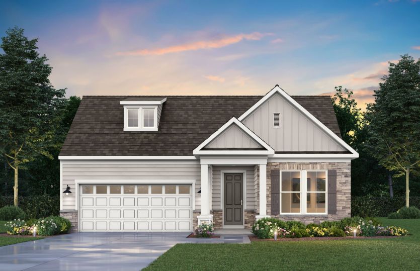 Elevation CT204