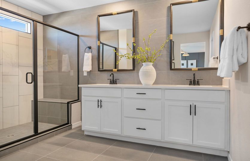 Owner's Bath