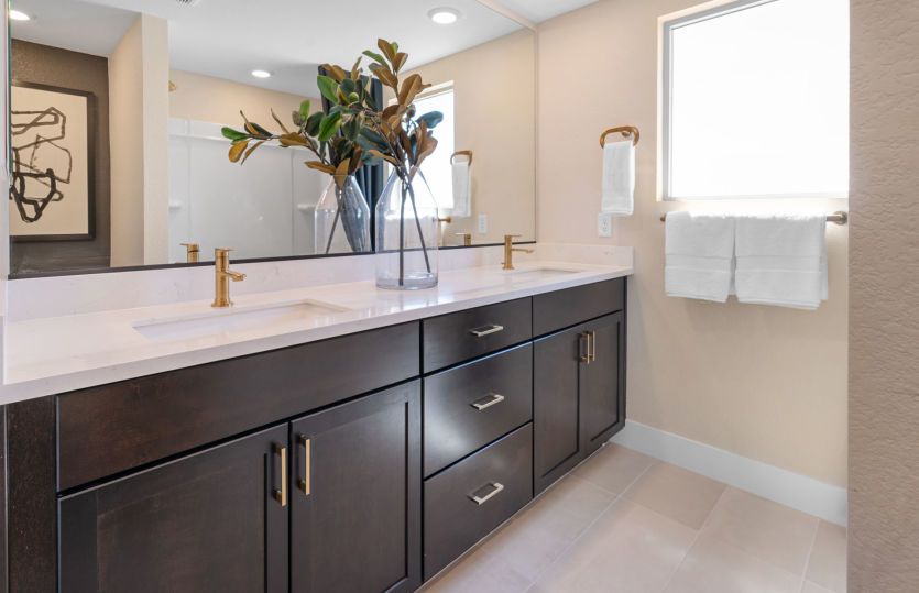 Owner's Bath