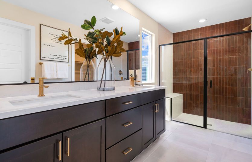 Owner's Bath