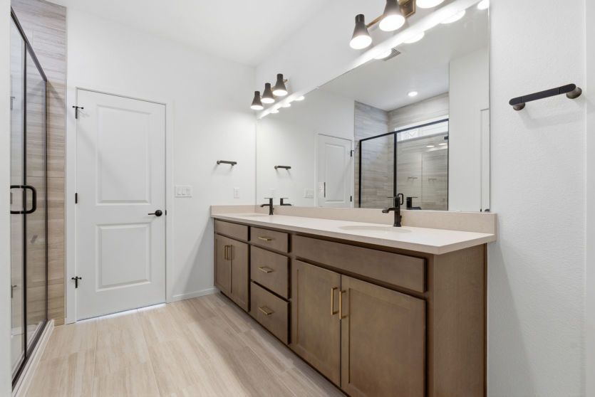 Owner's Bath