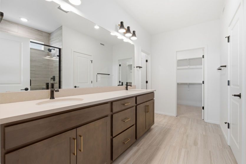 Owner's Bath